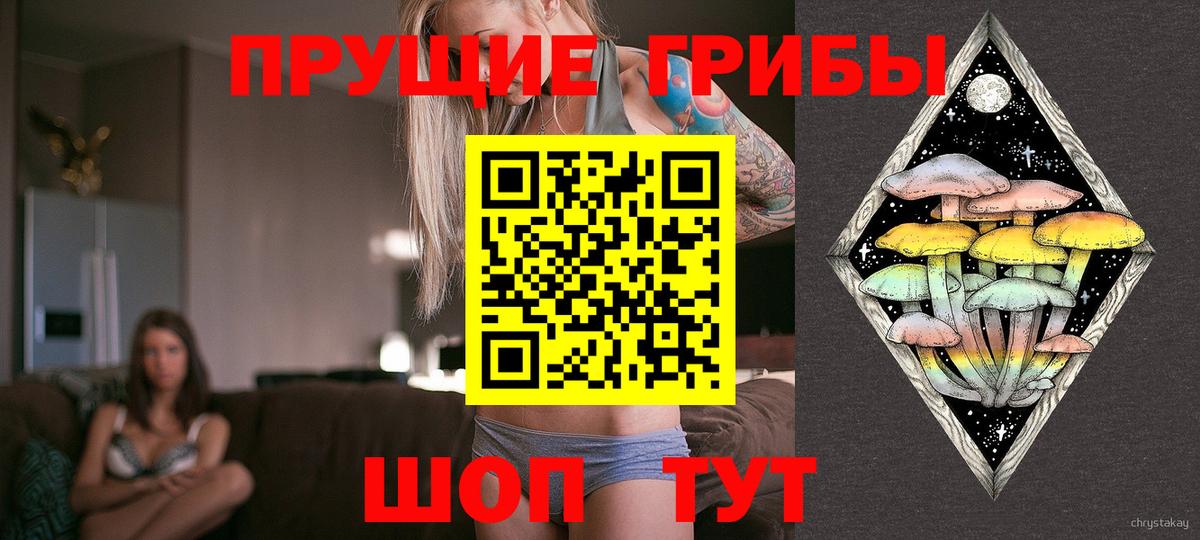 Тобольск  Псилоцибиновые грибы GOLDEN TEACHER  Вход с VPN 